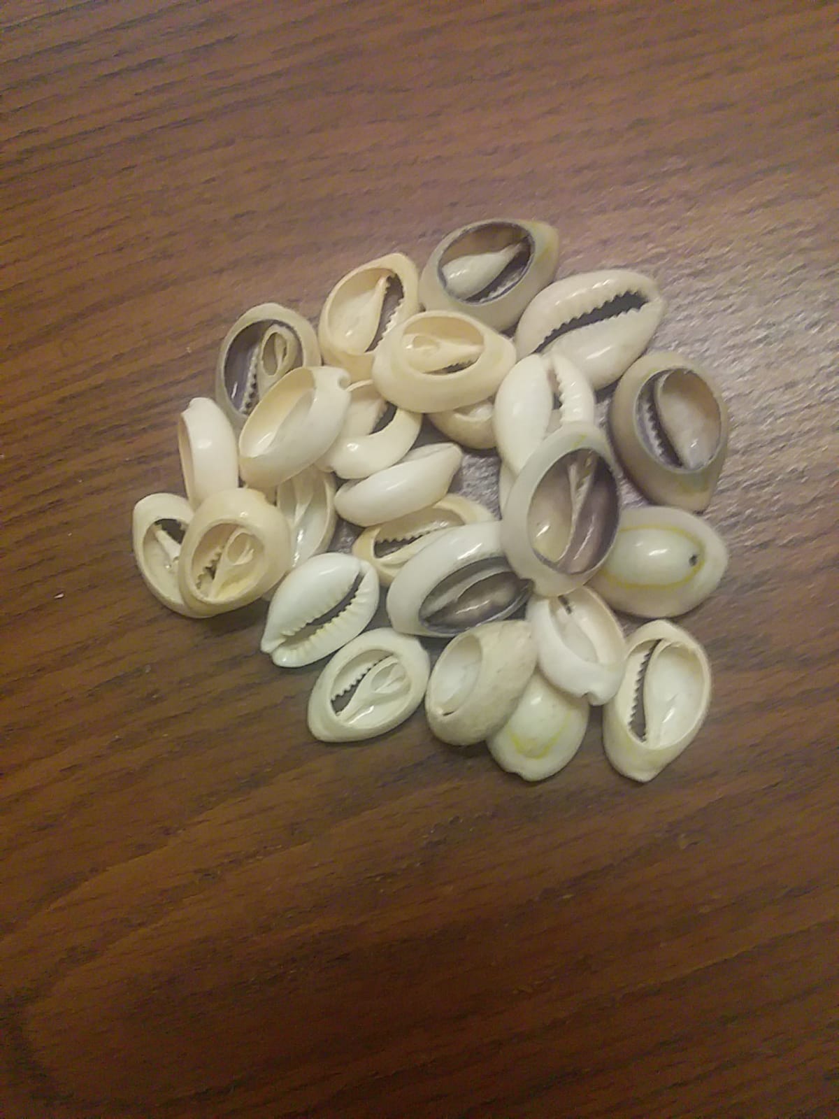 accueil-vaudou-specialiste-de-la-magie-blanche-samou